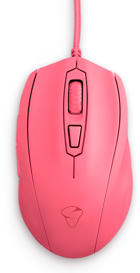 Castor